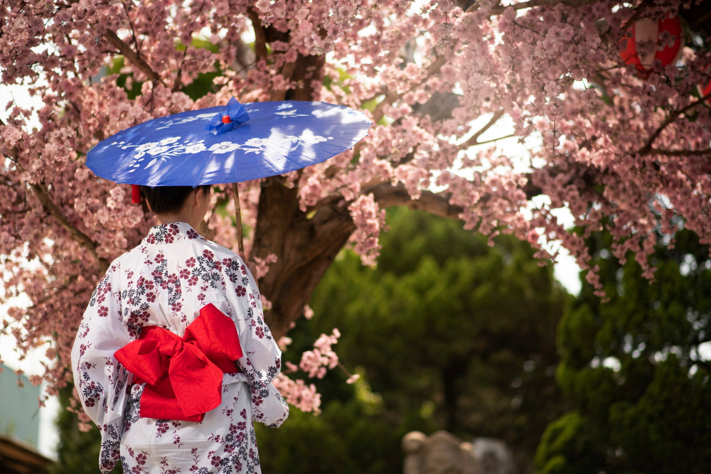 Cherry Blossoms In Nepal